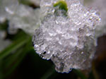 IMGP5147.jpg