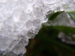 IMGP5150.jpg