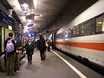 IMGP5235.jpg