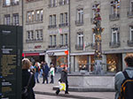 IMGP5263.jpg