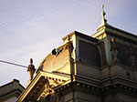 IMGP5265.jpg