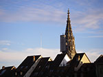 IMGP5272.jpg