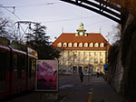 IMGP5288.jpg