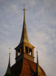IMGP5305.jpg
