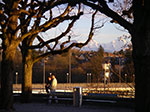 IMGP5314.jpg