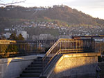 IMGP5315.jpg