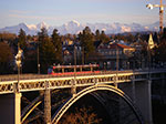 IMGP5317.jpg