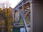 IMGP5319.jpg