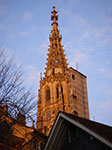 IMGP5322.jpg