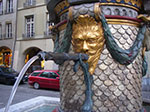 IMGP5333.jpg