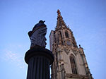 IMGP5334.jpg