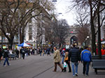 IMGP5411.jpg