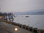 IMGP5447.jpg