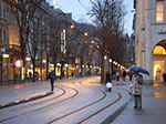 IMGP5472.jpg