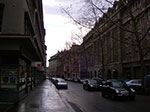 IMGP5547.jpg