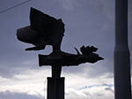 IMGP5572.jpg