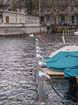 IMGP5587.jpg
