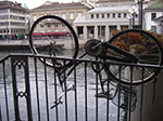 IMGP5676.jpg