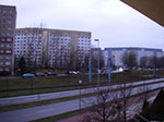 IMGP5714.jpg
