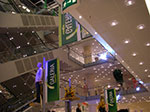 IMGP5770.jpg