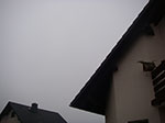 IMGP5796.jpg