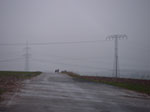 IMGP5799.jpg