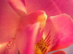 IMGP5817.jpg