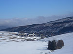 IMGP5897.jpg