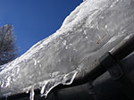 IMGP5925.jpg