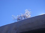 IMGP5926.jpg