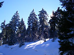 IMGP5972.jpg