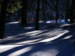 IMGP6000.jpg