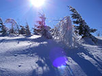 IMGP6052.jpg