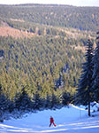 IMGP6059.jpg