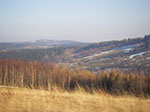 IMGP6134.jpg