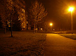 IMGP6163.jpg