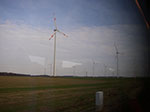 IMGP6185.jpg