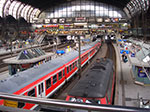 IMGP6186.jpg