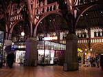 IMGP6226.jpg