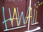 IMGP6243.jpg