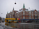 IMGP6244.jpg