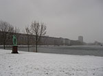 IMGP6247.jpg