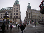 IMGP6267.jpg