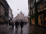 IMGP6275.jpg