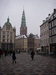 IMGP6278.jpg