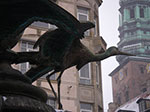 IMGP6282.jpg