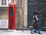 IMGP6310.jpg
