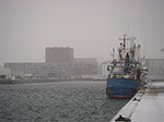 IMGP6314.jpg