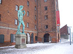 IMGP6317.jpg