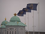 IMGP6322.jpg